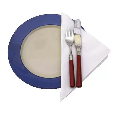 Luxury Large White Napkins 40x40 2ply 100