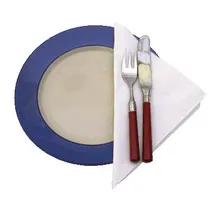Luxury Large White Napkins 40x40 2ply 100 G1p100