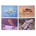 Sea Creatures Puzzle 18 Piece 8 Pack