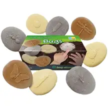 Let's Investigate Bugs 8 Pack