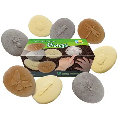 Let's Investigate Bugs 8 Pack