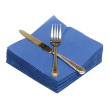 Napkins 33cm 2ply Regatta Blue 100 G2p100