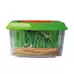Bug City Explorer Set