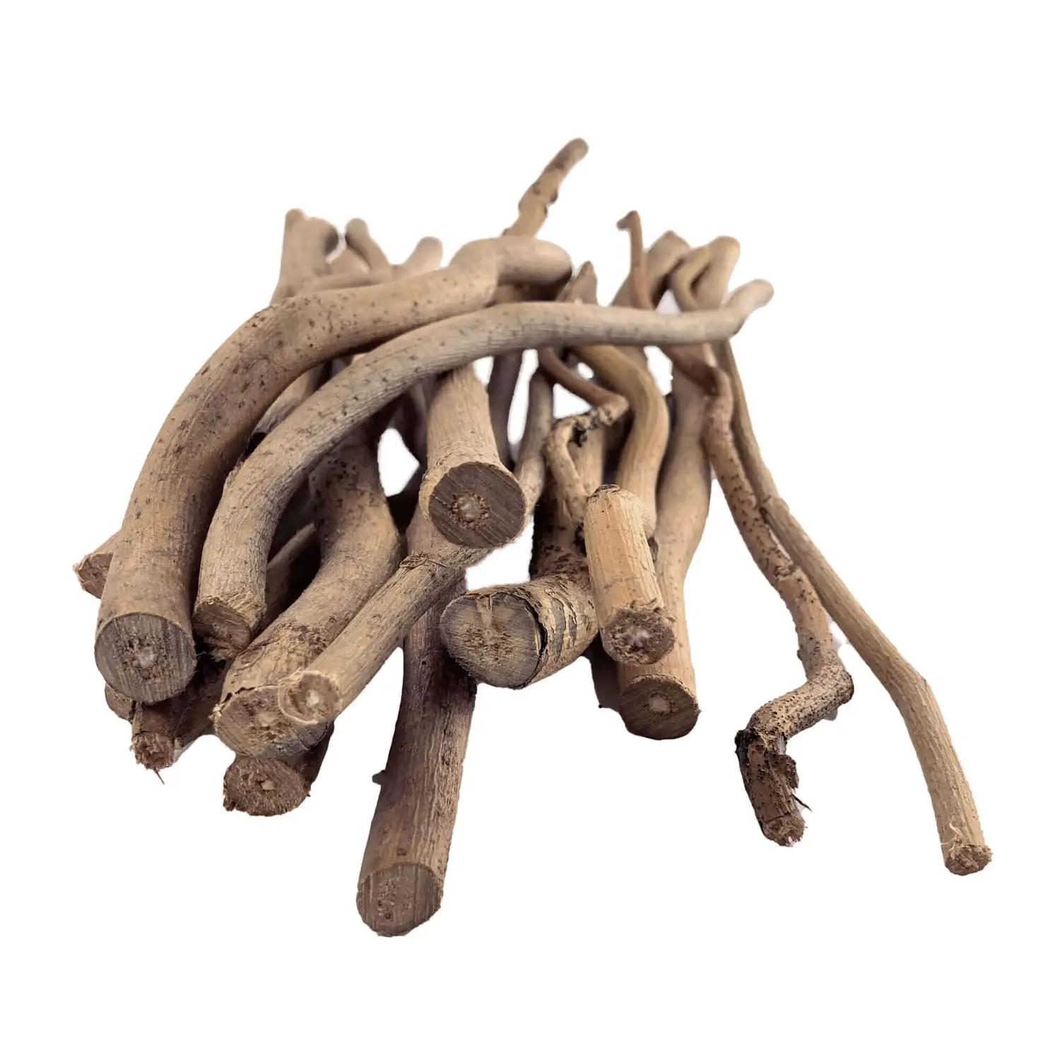 Branch Cuttings Assorted 28 Pack