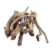 Branch Cuttings Assorted 28 Pack