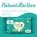 Good Baby Biodegradable XL Wet Wipes 80 Pack