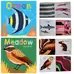 Now You See It Books Assorted 4 Pack