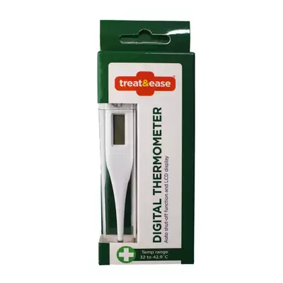 Digital Thermometer