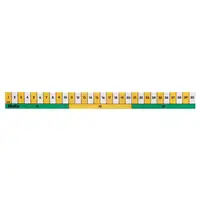 Helix Early Learning Ruler 30cm