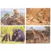 Wildlife and Their Young Puzzle 18 Piece 8 Pack