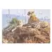 Wildlife and Their Young Puzzle 18 Piece 8 Pack