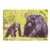 Wildlife and Their Young Puzzle 18 Piece 8 Pack