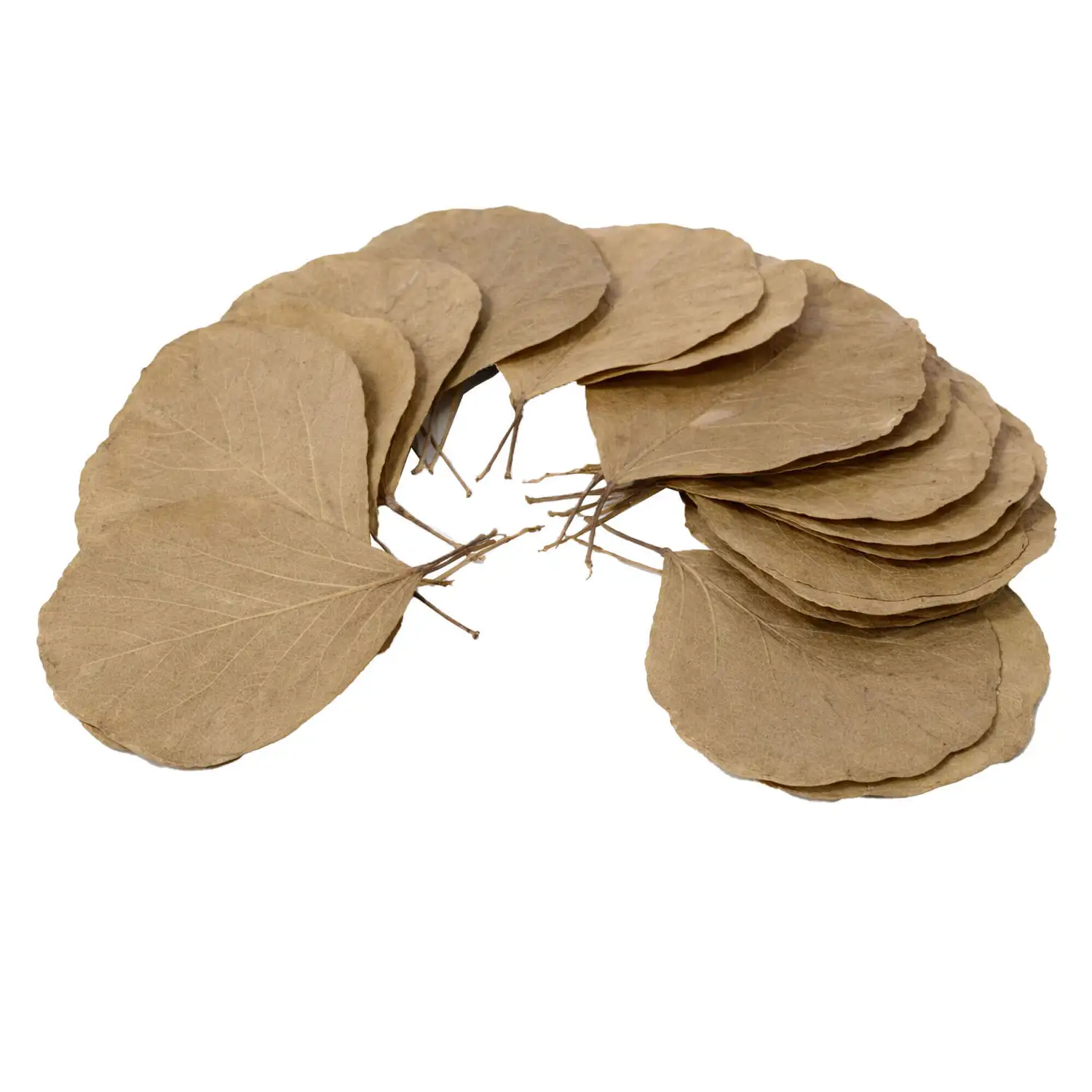 Cobra Leaf Natural 50 Pack