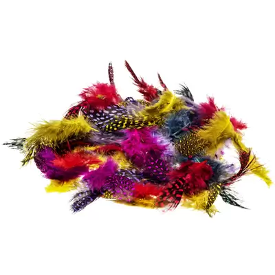 Artyom Feathers Bright Speckled Assorted 500 Pack