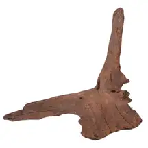 Mopani Wood Root 500gm
