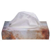 Soft Facial Tissues 2 Ply Xl 100 Sheet 24 Pack