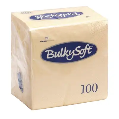 Lunch Napkins 2 Ply 33x33cm 100 Pack