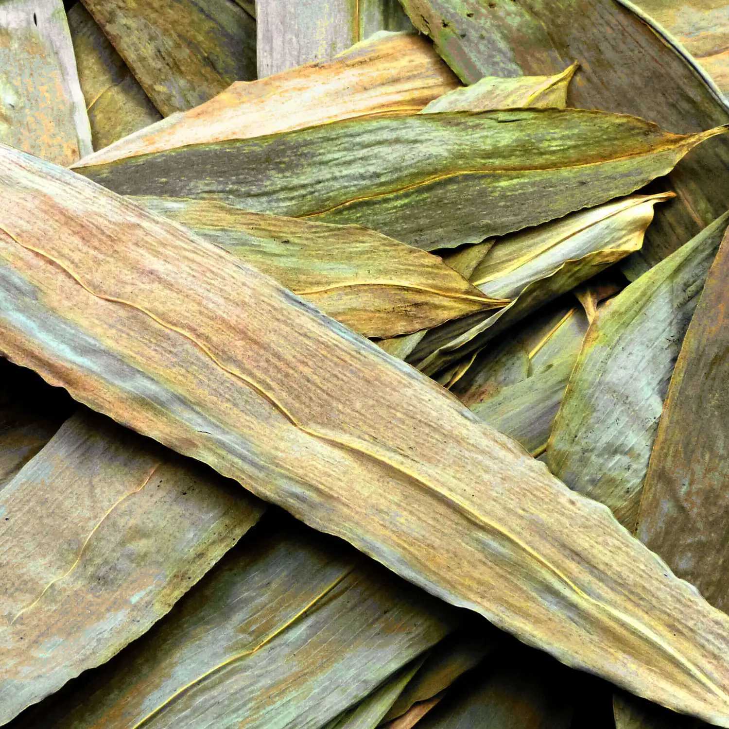 Bamboo Leaves 83 Pack