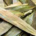 Bamboo Leaves 83 Pack