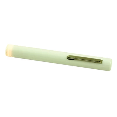 Disposable Pen Torch