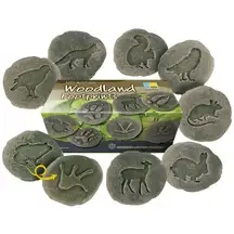 Let's Investigate Woodland Footprints 8 Pack