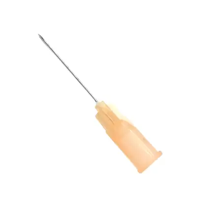 Hypodermic Needle 100 Pack