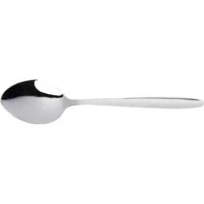 Tea Spoons 12 Pack