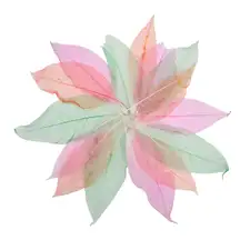 Assorted Skeleton Leaves 20 Pack