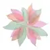 Assorted Skeleton Leaves 20 Pack