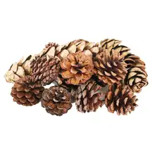 Assorted Pine Cones 750g