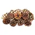 Assorted Pine Cones 750g G2p80