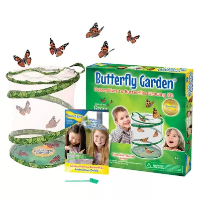 Butterfly Garden