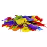 Artyom Feathers Rainbow Assorted 500 Pack