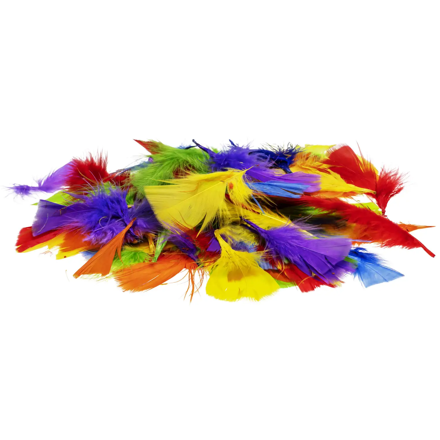Artyom Feathers Rainbow Assorted 500 Pack G2p85