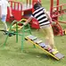 Stepping Leaves Play Gym Set