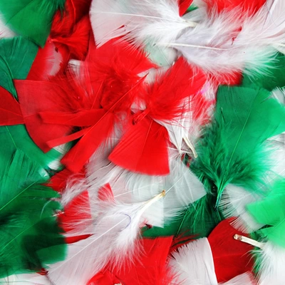 Feathers Assorted Festive 50g