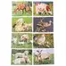 Farm Animals and Their Young Puzzle 18 Piece 8 Pack G2p100