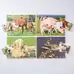 Farm Animals and Their Young Puzzle 18 Piece 8 Pack
