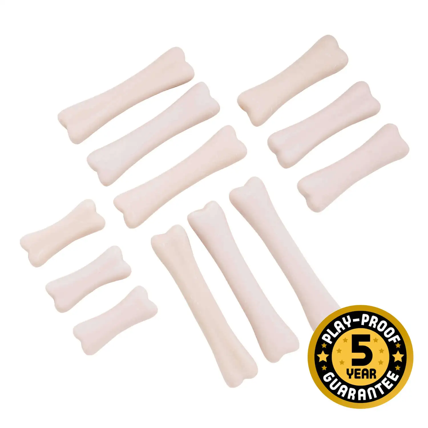 Dinosaur Bones Discovery Set