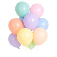 Party Balloons Pastel 270 Pack