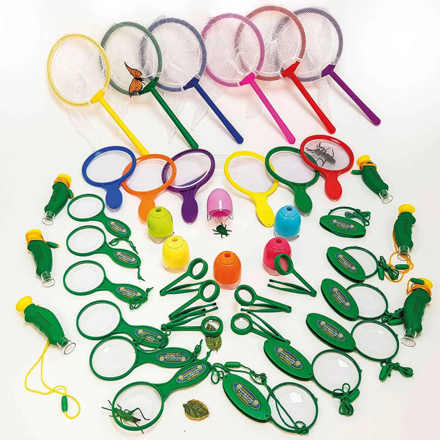 Plant and Bug Hunting Kit