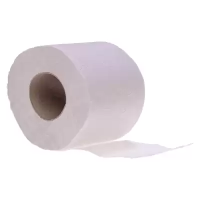 Soclean Toilet Rolls 320 Sheets 2ply 72 Pack