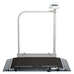 Seca Electronic Wheelchair Platform Scales With Handrail