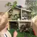 Olly and Oby Wooden Dolls House