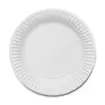 Paper Plates 7 Inch 100 Pack