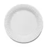 Paper Plates 7 Inch 100 Pack
