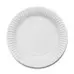 Paper Plates 7 Inch 100 Pack G2p100