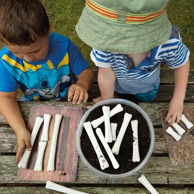 Dinosaur Bones Match and Measure Set