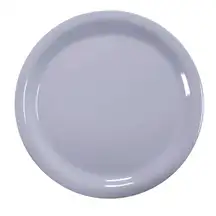 Swixz Melamine Dinner Plate 9