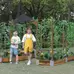 Little Garden Discovery Zone